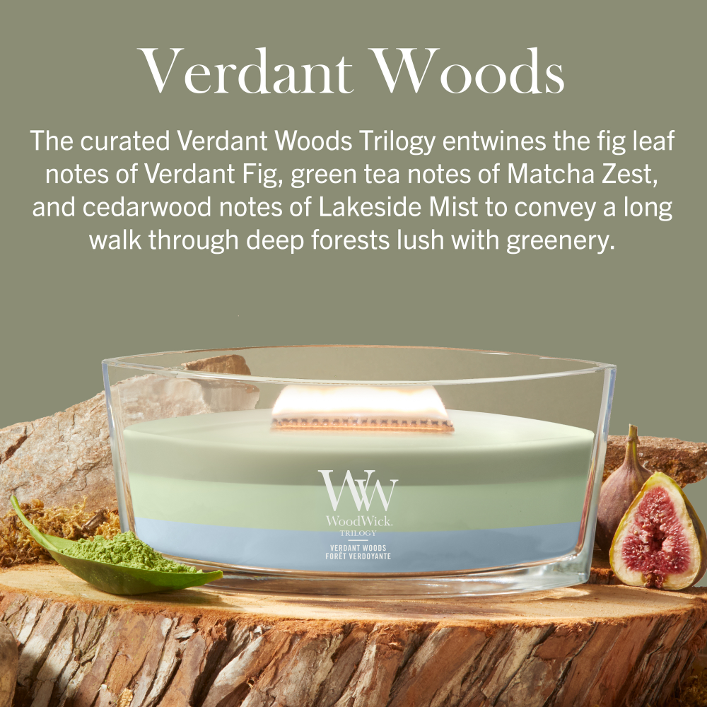 WoodWick Trilogy Verdant Woods Ellipse Jar Candle