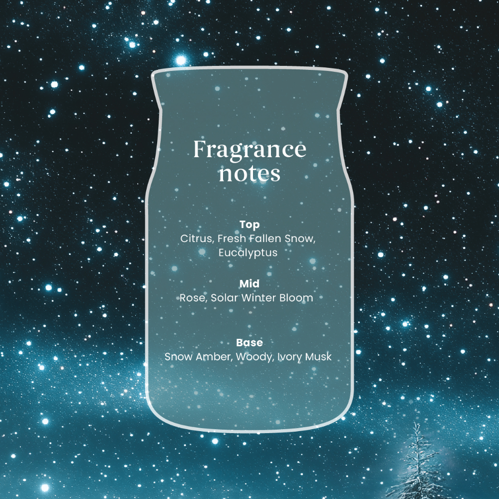Yankee Candle Winter Night Stars Small Signature Jar Candle