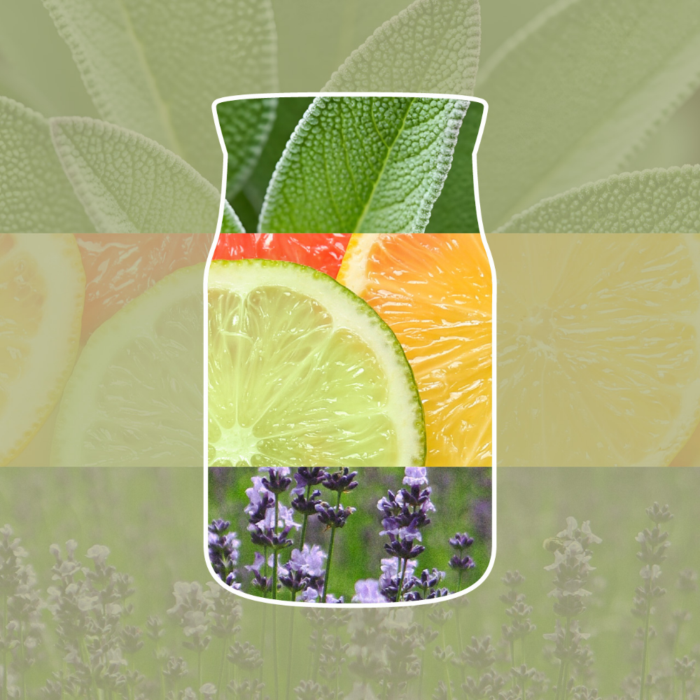 Yankee Candle Sage & Citrus Medium Signature Jar Candle