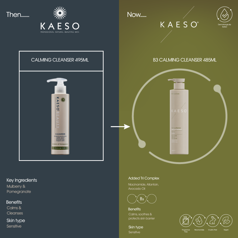 Kaeso B3 Face Care Calming Cleanser 485ml