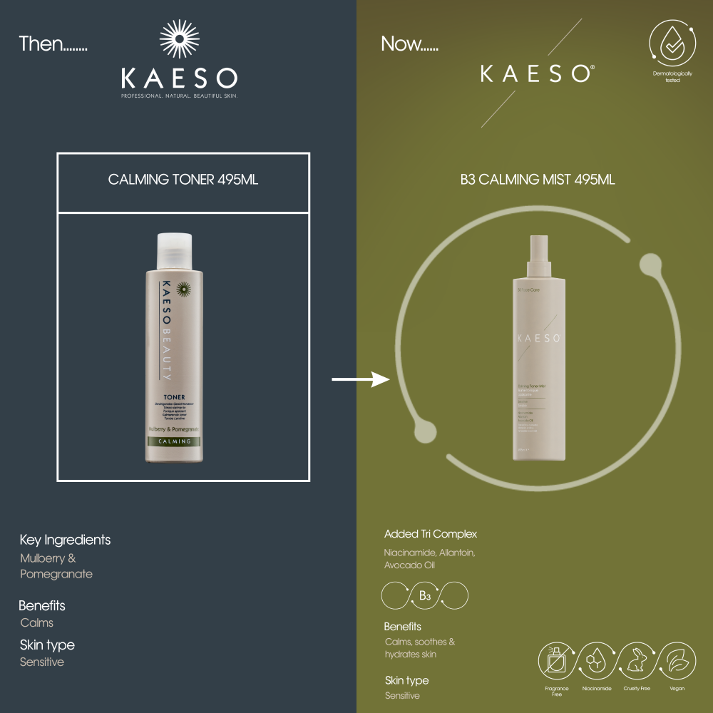 Kaeso B3 Face Care Calming Toner Mist 495ml