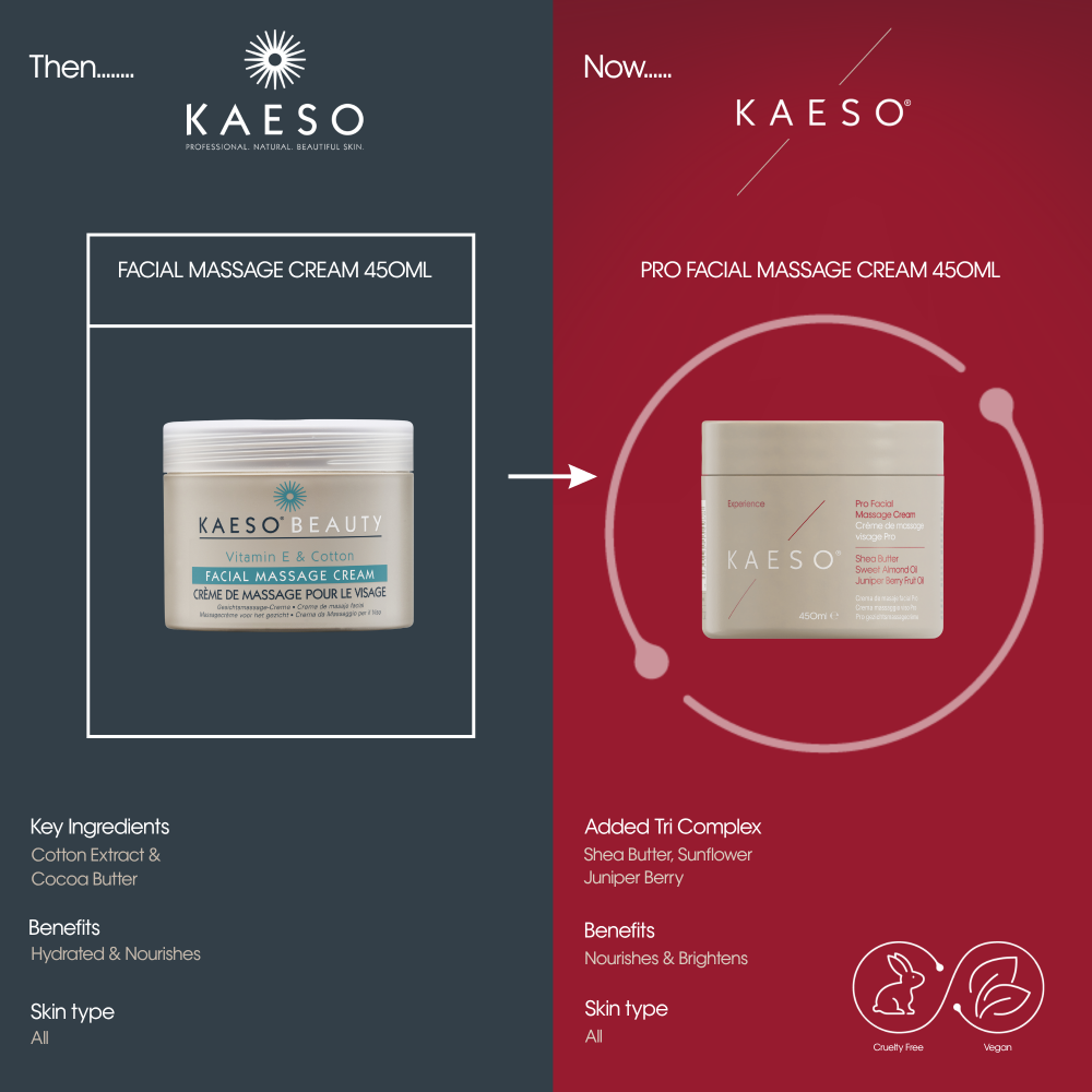 Kaeso Experience Pro Facial Massage Cream 450ml