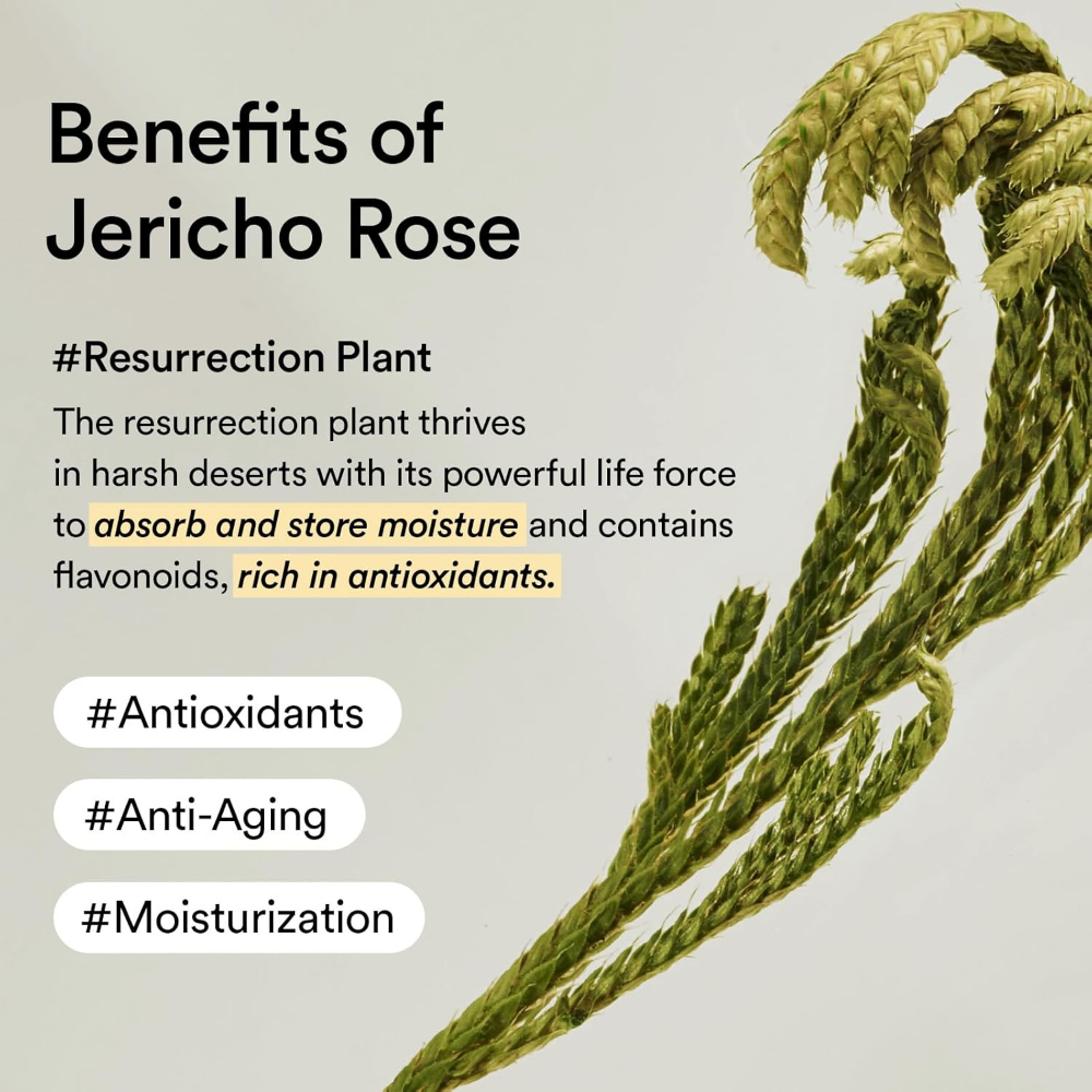 Abib Collagen Eye Cream Jericho Rose 30ml