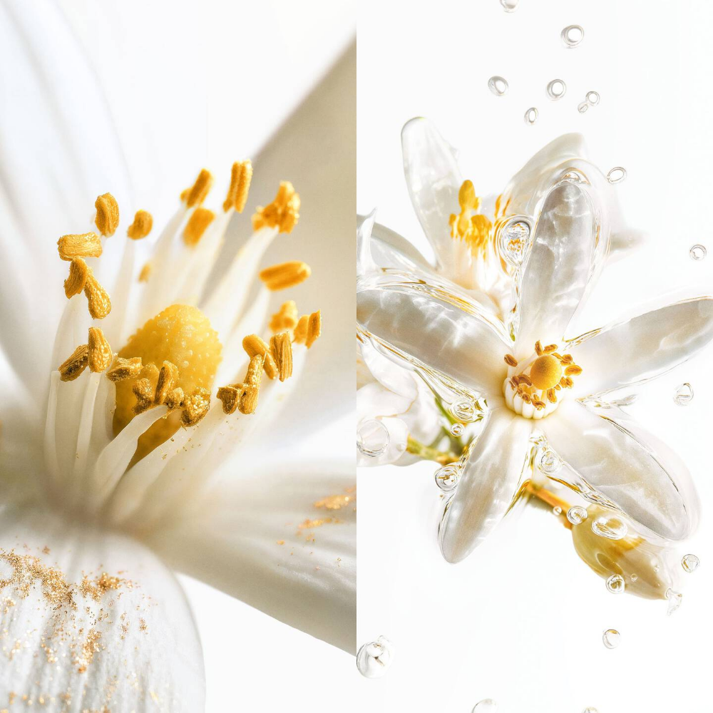 Maison Margiela Scentsorium Blaze Of Stillness Eau De Parfum 75ml