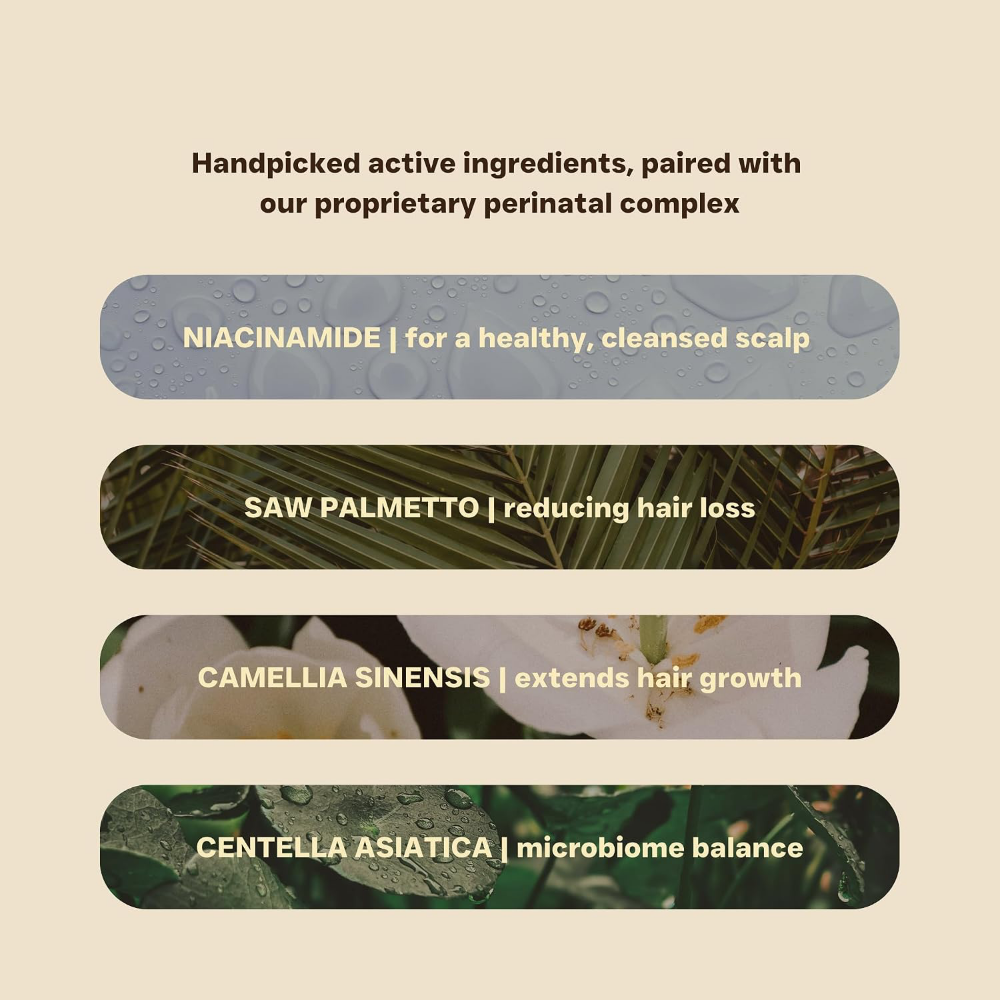 Maze Prenatal & Postpartum Hair Care Trio