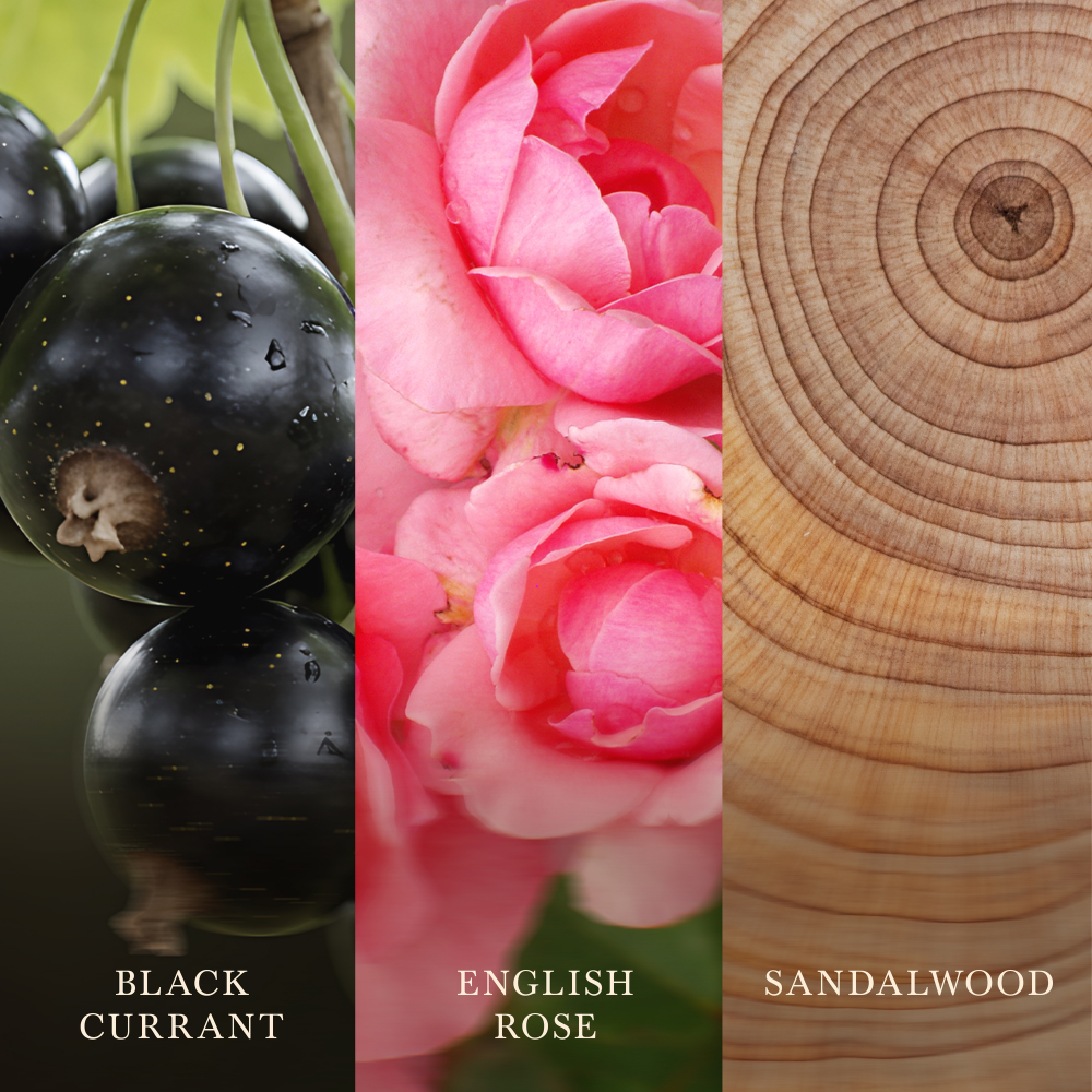 WoodWick Rose Blush Mini Hourglass Jar Candle