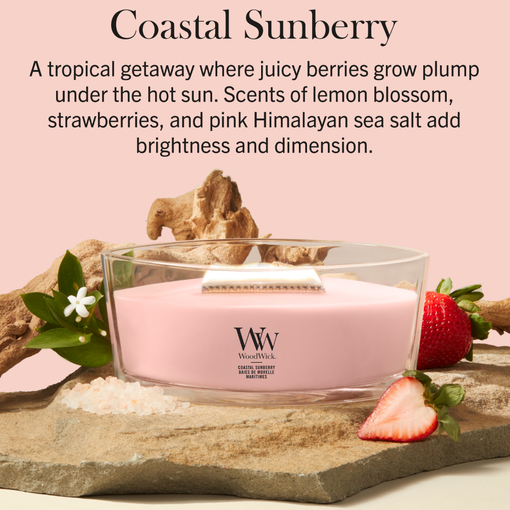 WoodWick Coastal Sunberry Ellipse Jar Candle