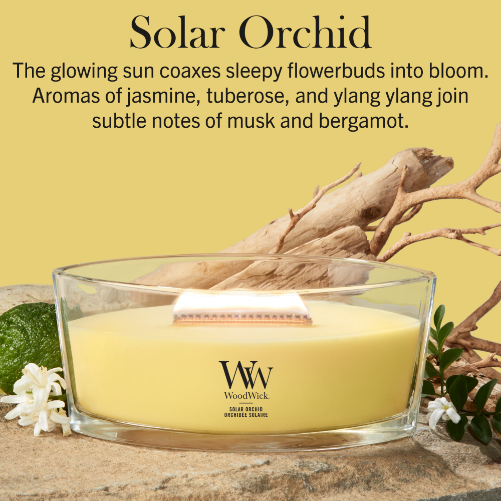 WoodWick Solar Orchid Ellipse Jar Candle