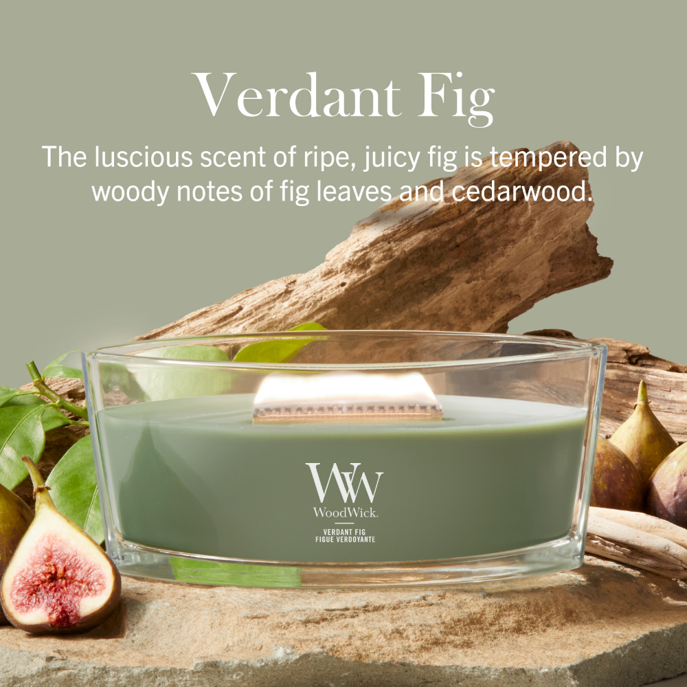 WoodWick Verdant Fig Ellipse Jar Candle