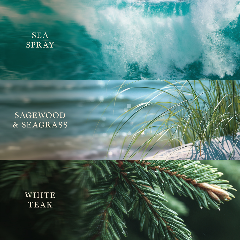 WoodWick Trilogy Driftwood Shores Medium Hourglass Jar Candle