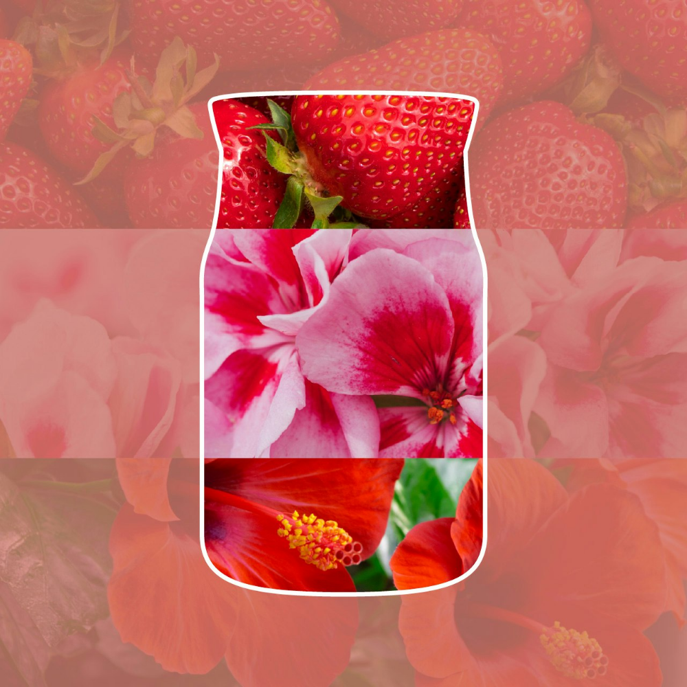 Yankee Candle Cliffside Sunrise Small Signature Jar Candle