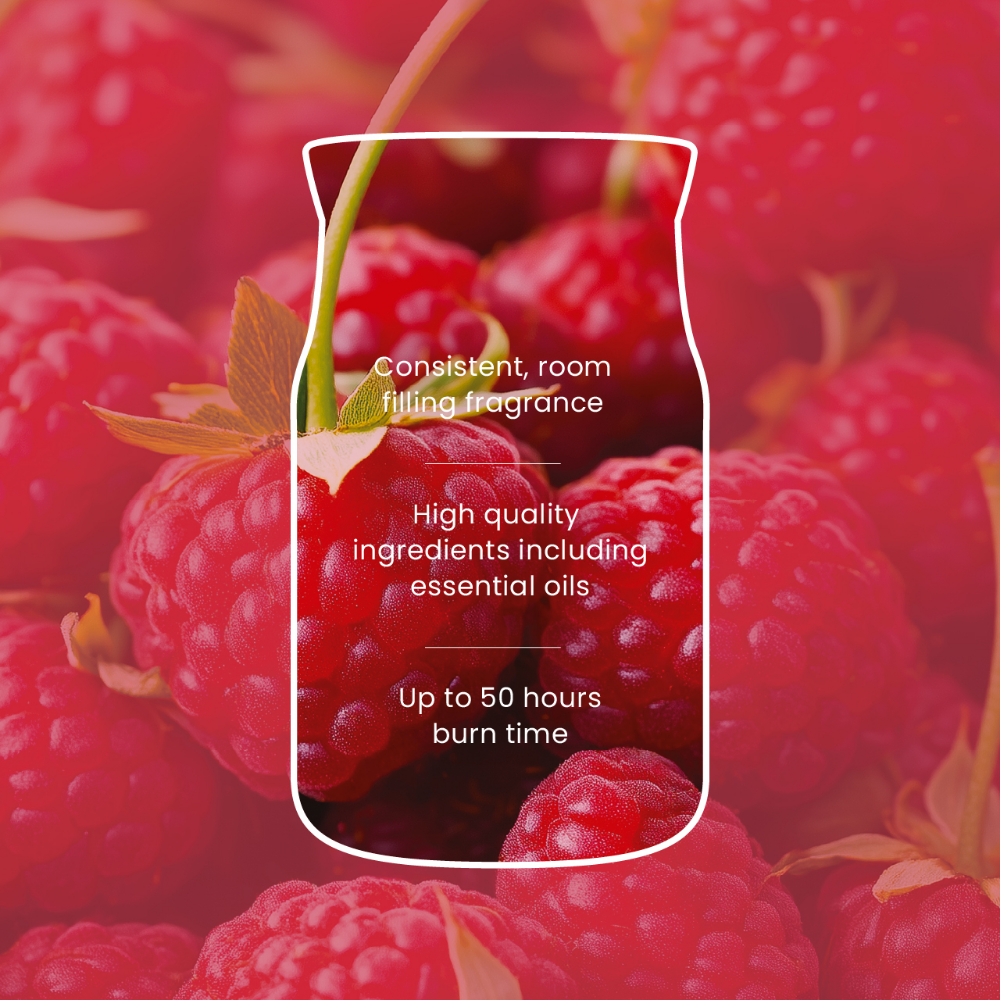 Yankee Candle Red Raspberry Small Signature Jar Candle