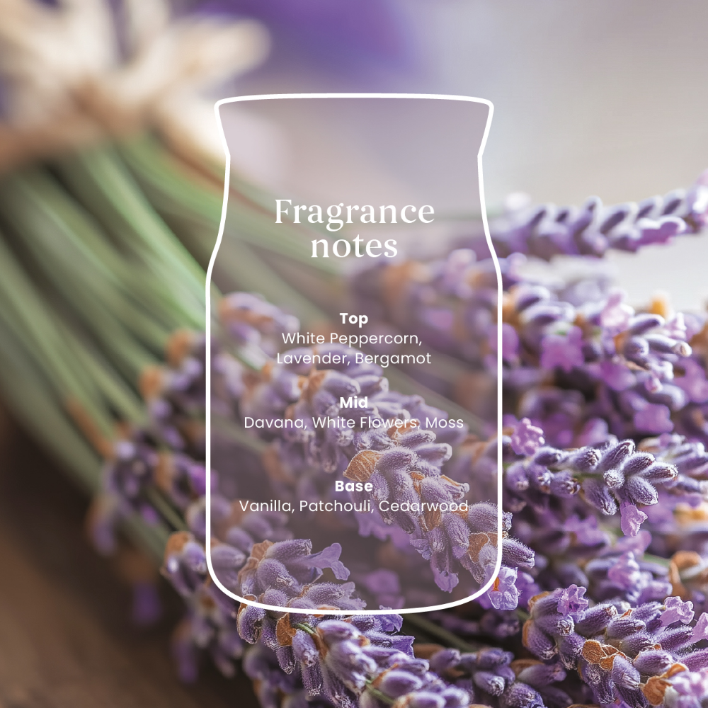 Yankee Candle Dried Lavender & Oak Medium Signature Jar Candle