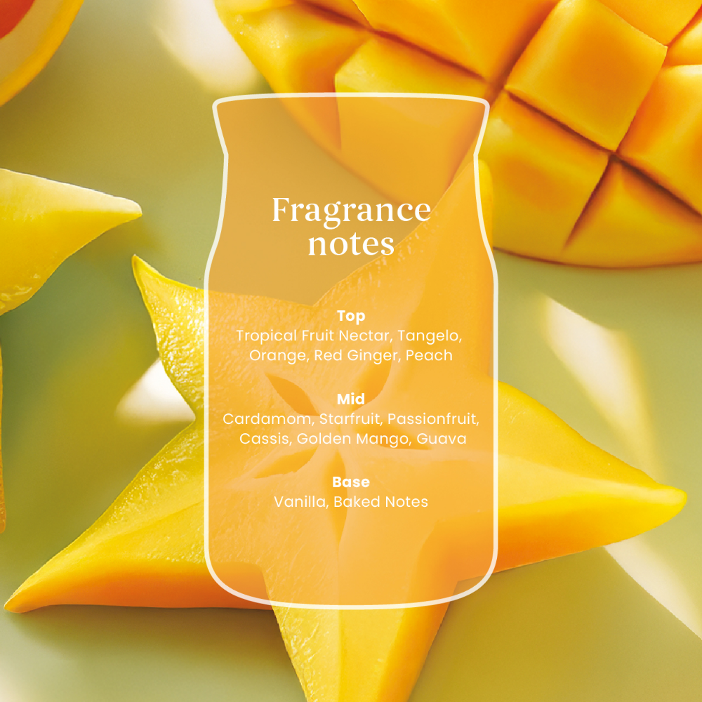 Yankee Candle Starfruit & Sunshine Medium Signature Jar Candle