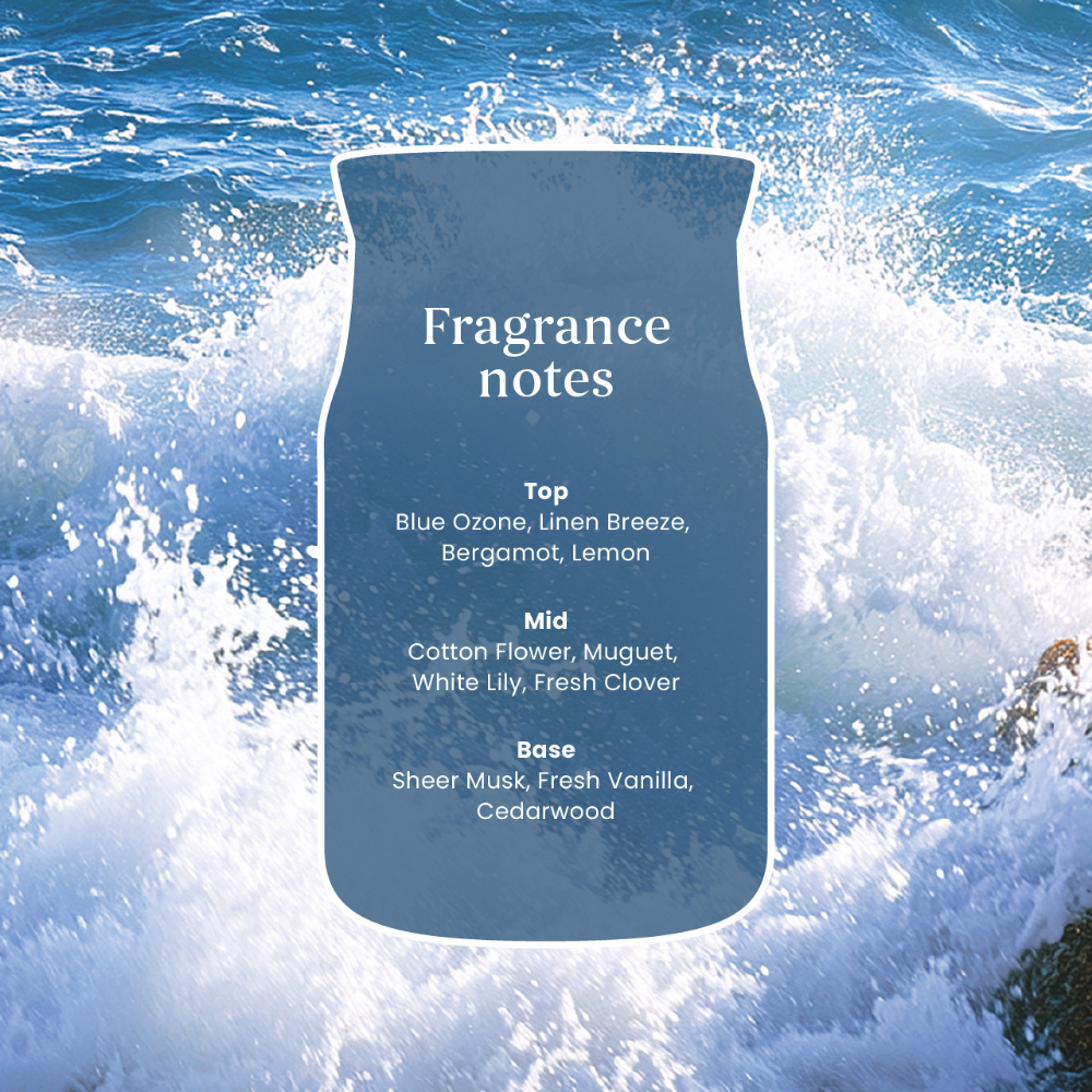Yankee Candle Ocean Air Medium Signature Jar Candle