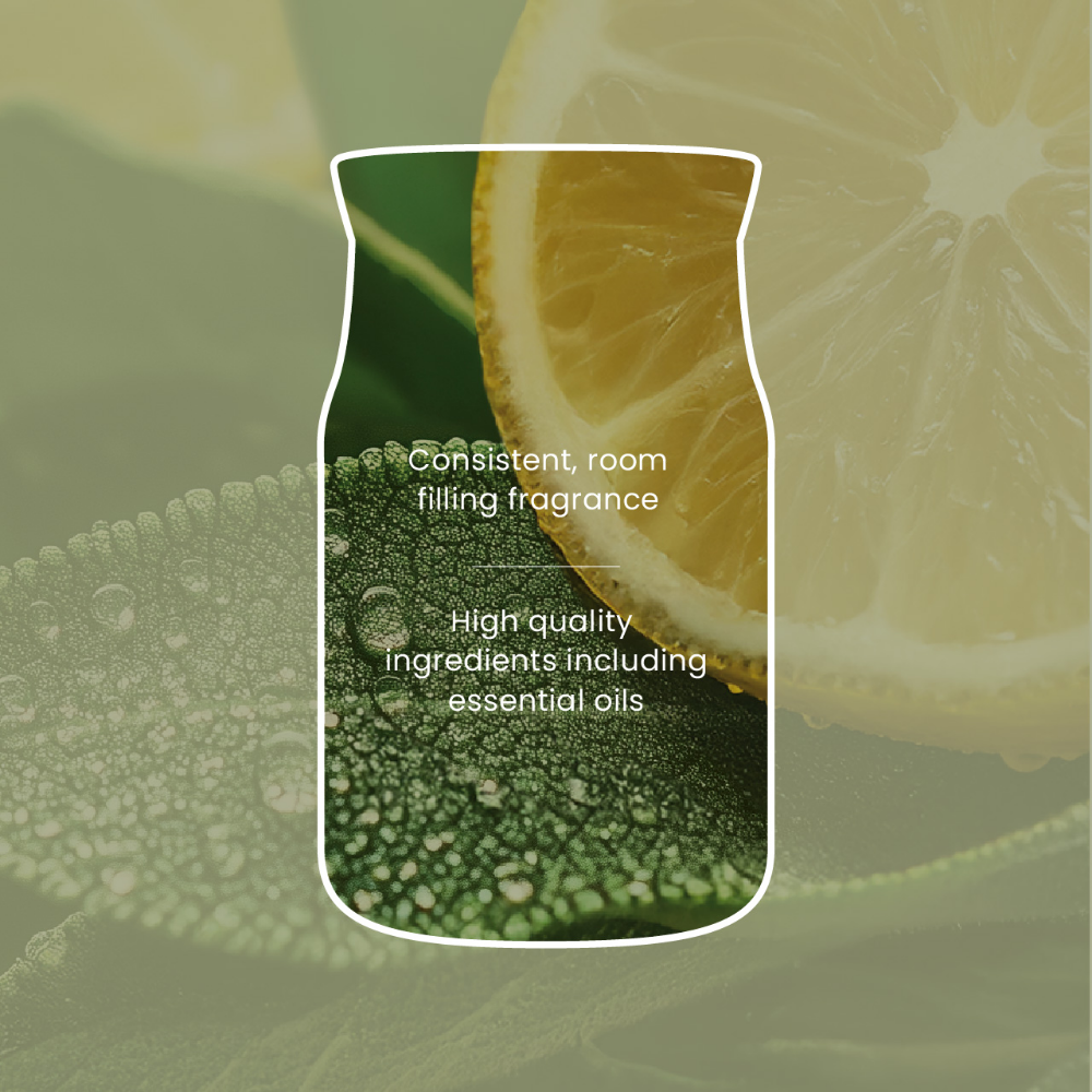 Yankee Candle Sage & Citrus Medium Signature Jar Candle