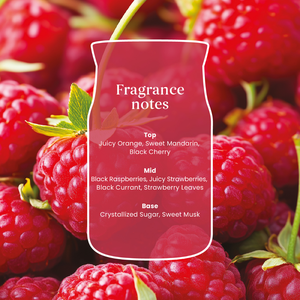 Yankee Candle Red Raspberry Large Signature Jar Candle