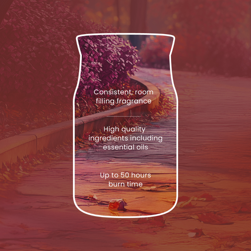 Yankee Candle Autumn Daydream Large Signature Jar Candle
