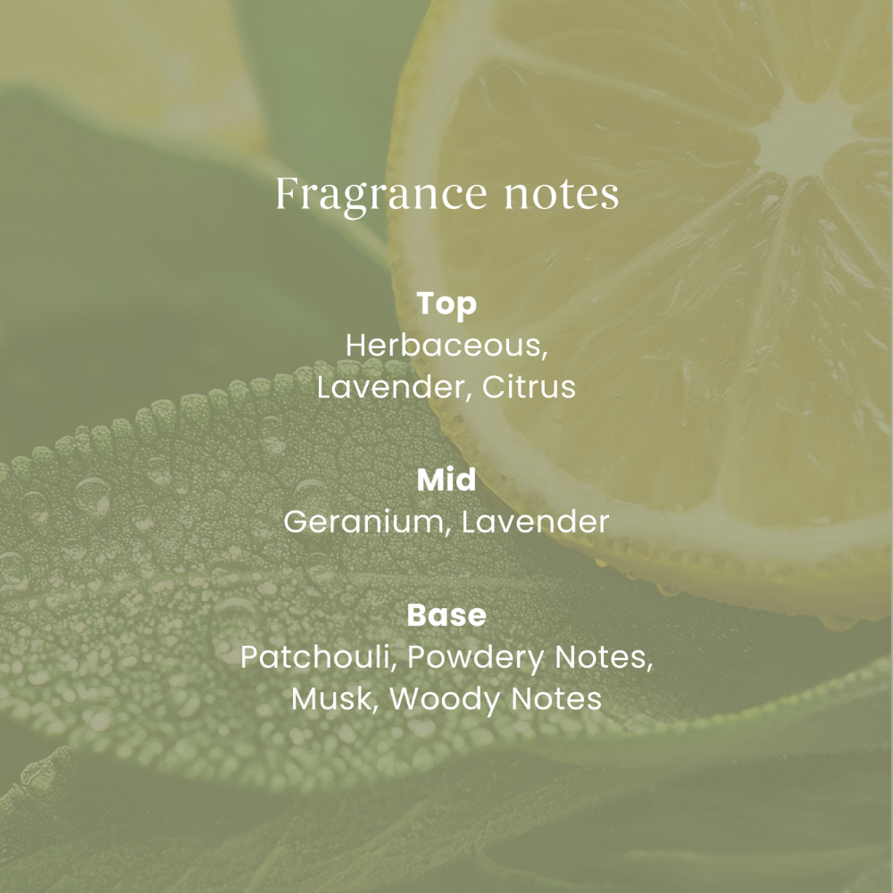 Yankee Candle Sage & Citrus Ultimate Car Jar Air Freshener