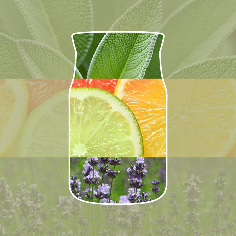 Yankee Candle Sage & Citrus Signature Reed Diffuser Refill 250ml