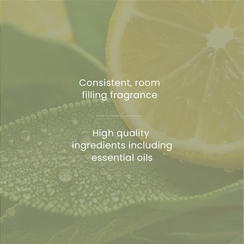 Yankee Candle Sage & Citrus Scent Plug Refills 2 x 18.5ml