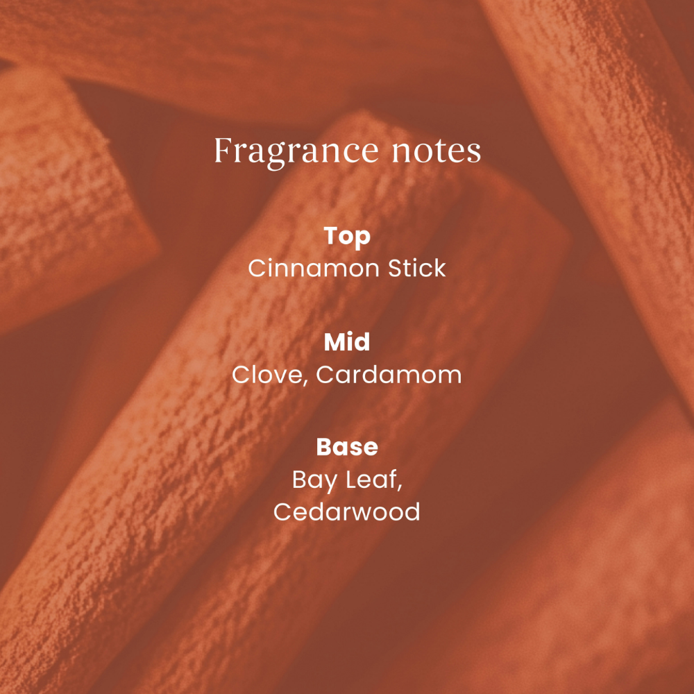 Yankee Candle Cinnamon Stick Scent Plug Refills 2 x 18.5ml