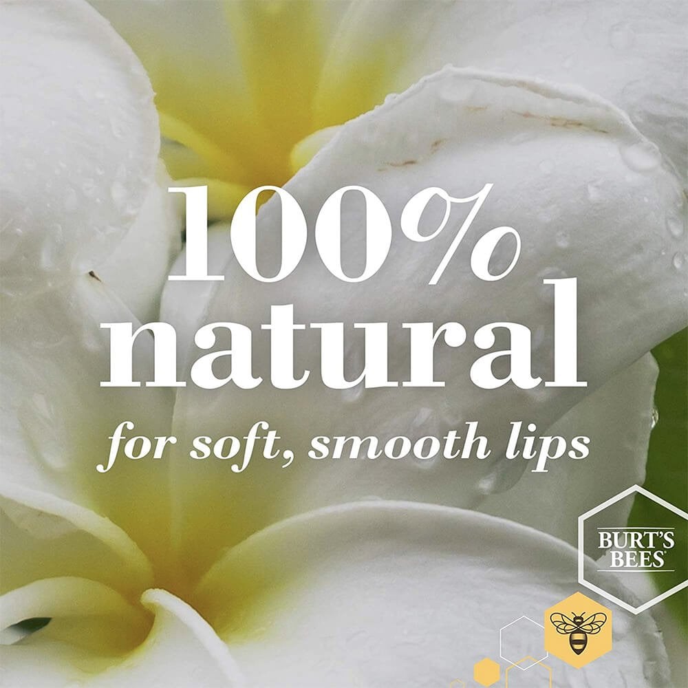 Burt's Bees Lip Balm Freshly Picked 4 Pack